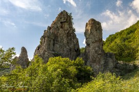 Vinishki_kamak_DSC6148