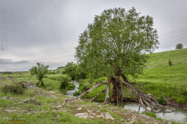 Hotnishka_ekopateka_izvora_DSC0844