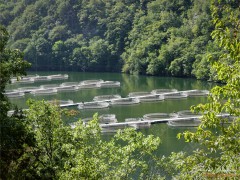 Iazovir_Vacha_2011_DSC03809