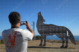 Вълкът на Емона (DSC00480)