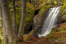 Мини водопад по реката под Чипровския водопад (DSC8997)
