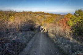 По пътеката към връх Тумба (NCH_3402)