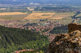 Vinishki_kamak_DSC6158