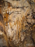 pestera_Uhlovica_2005_DSC04698