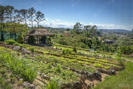 Био-ферма Finca Agroecológica El Paraiso, долината Винялес (NCH_8433)