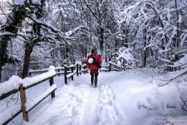 Пътеката към водопада (NCH_4317)