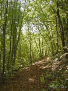Bojanski_vodopad_DSC06820