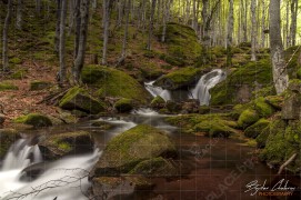 Малки живописни падчета по реката под Чипровския водопад (DSC9003)