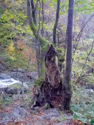Bojanski_vodopad_DSC06866