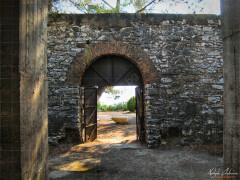Thassos_Metallia_Beach_IMG_3126