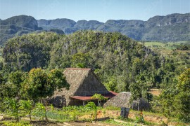 Био-ферма Finca Agroecológica El Paraiso (NCH_8436)