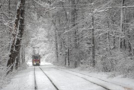 Следваща спирка улица Вишнева (BCH_0794)