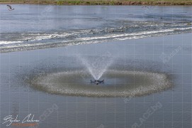 Фонтаните разположени до моста в река Марица (DSC8014)