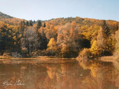 Bojanski_vodopad_DSC06824