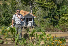 Био-ферма Finca Agroecológica El Paraiso (NCH_8438)