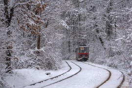 Спирка Семинарията (BCH_0866)