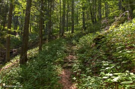 Partizanski_lager_Teheran_DSC1733