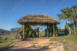 Входа на био-ферма Finca Agroecológica El Paraiso (BCH_2334)