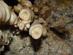 pestera_Uhlovica_2005_DSC04724