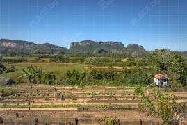 Био-ферма Finca Agroecológica El Paraiso, Куба (BCH_2299)