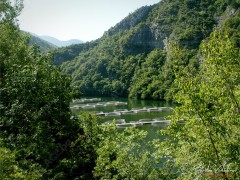 Iazovir_Vacha_2011_DSC03808