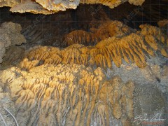 pestera_Uhlovica_2005_DSC04715