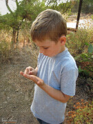 Thassos_Palataki_IMG_3154