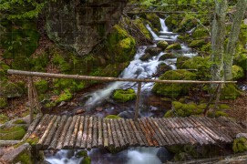 Първото мостче по пътеката за Чипровски водопад (DSC8987)