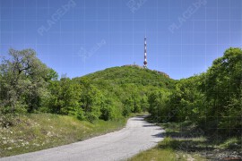 Пътят към връх Шейновец (DSC0507)