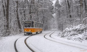 Следваща спирка улица Вишнева (BCH_0780)