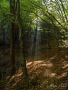 Bojanski_vodopad_DSC06815