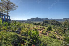 Био-ферма Finca Agroecológica El Paraiso, долината Винялес (BCH_2323)