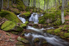 Малки водни падчета по пътеката към Чипровски водопад (DSC9005)