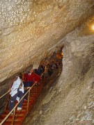 pestera_Uhlovica_2005_DSC04703