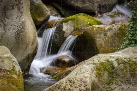 Малко „скокче“ по река Чавча след Костенския водопад (NCH_0818)