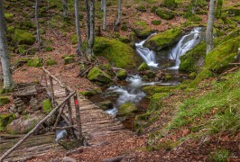 Второто мостче по пътеката за Чипровски водопад (DSC9000)