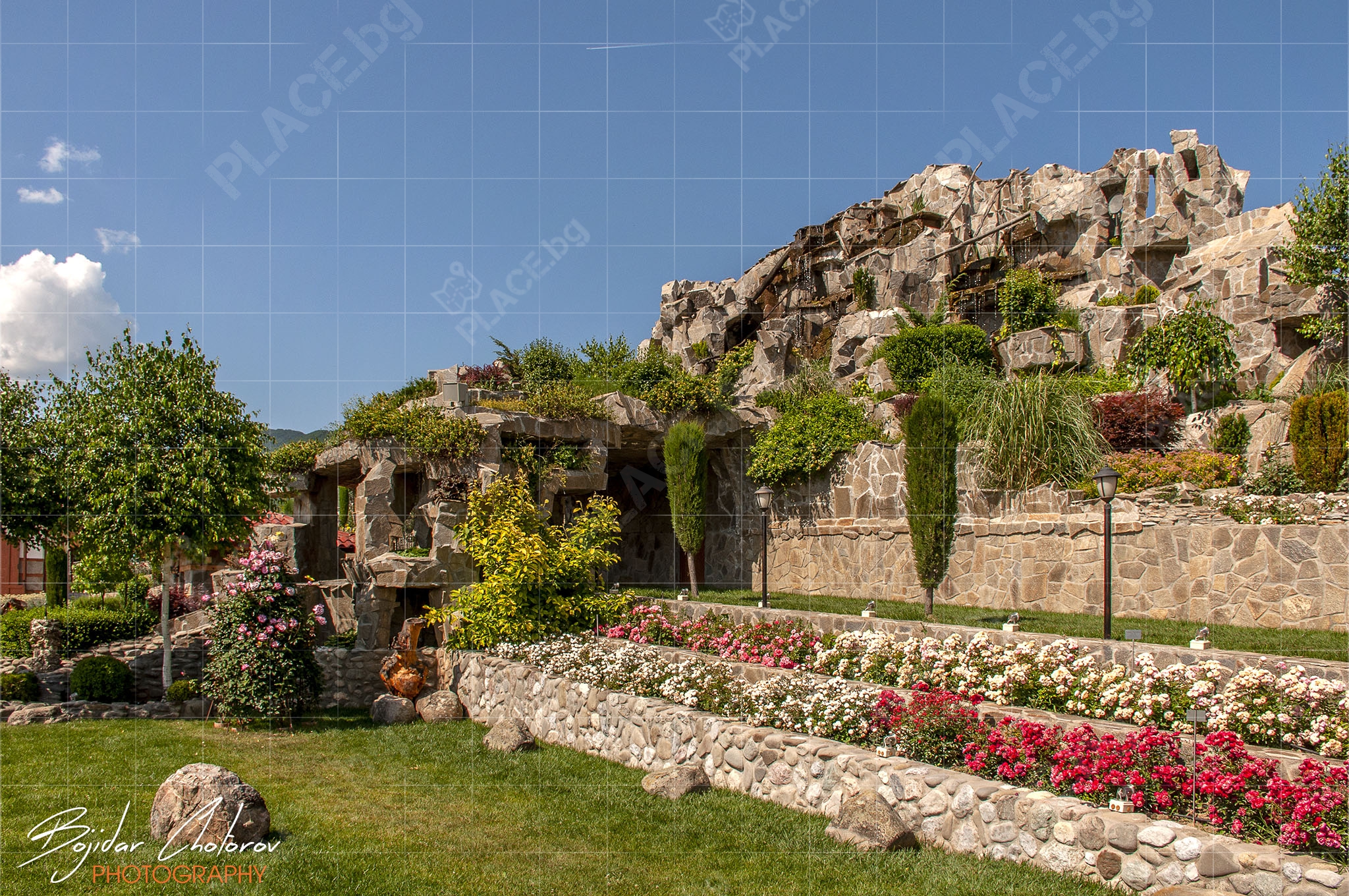 Damascena_DSC5806