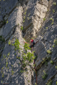 Ники събира площадката