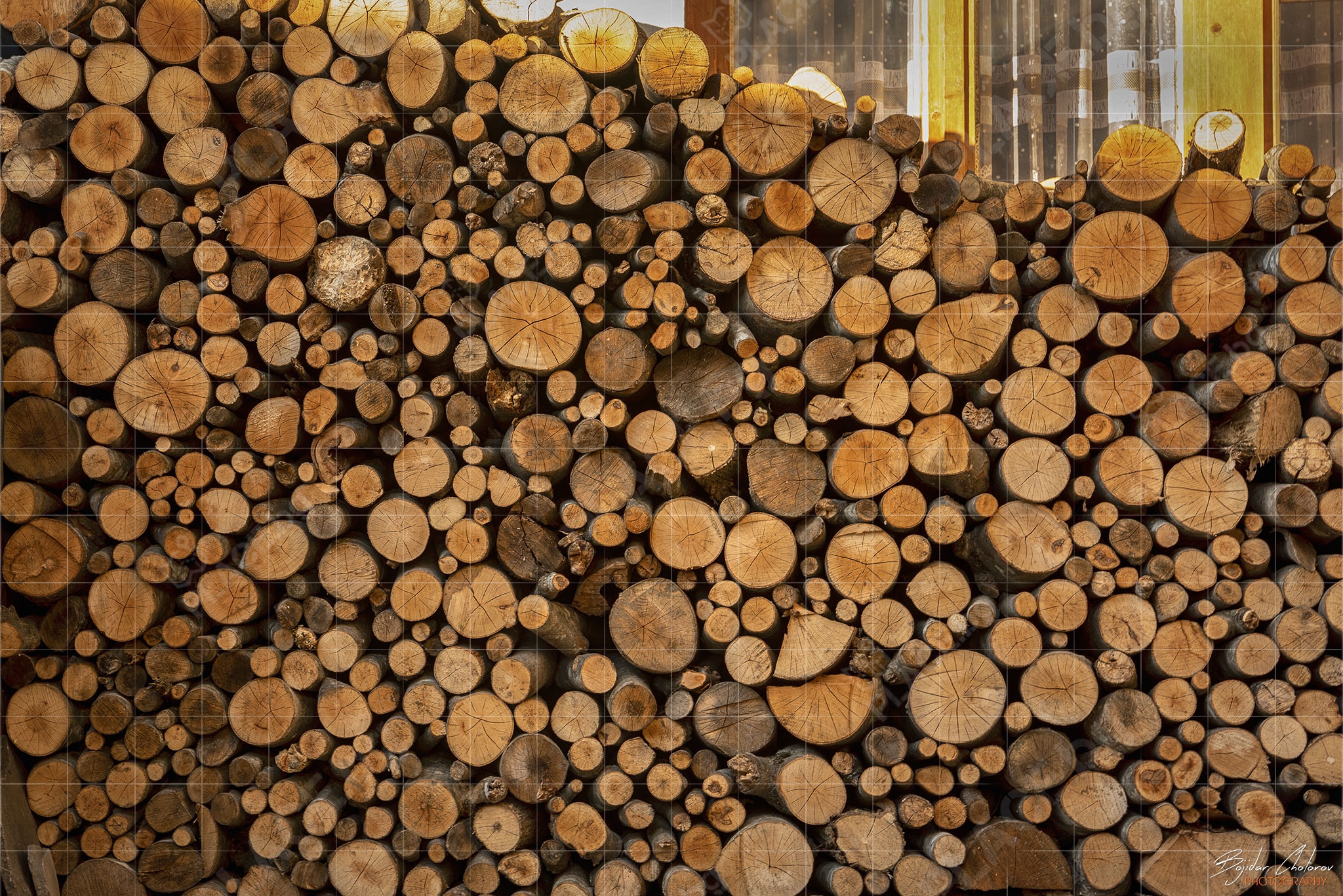 Подредени дърва за огрев (BCH_3855)