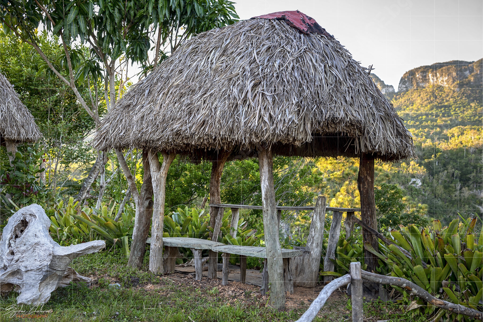 Cuba_Mirador_Natura_BCH_2346