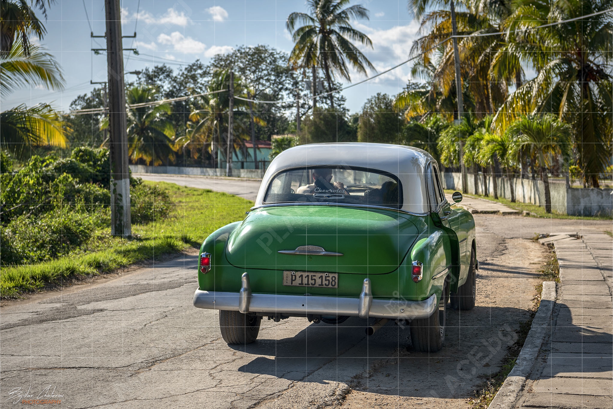 Cuba_Zaliva_na_prasetata_BCH_3162