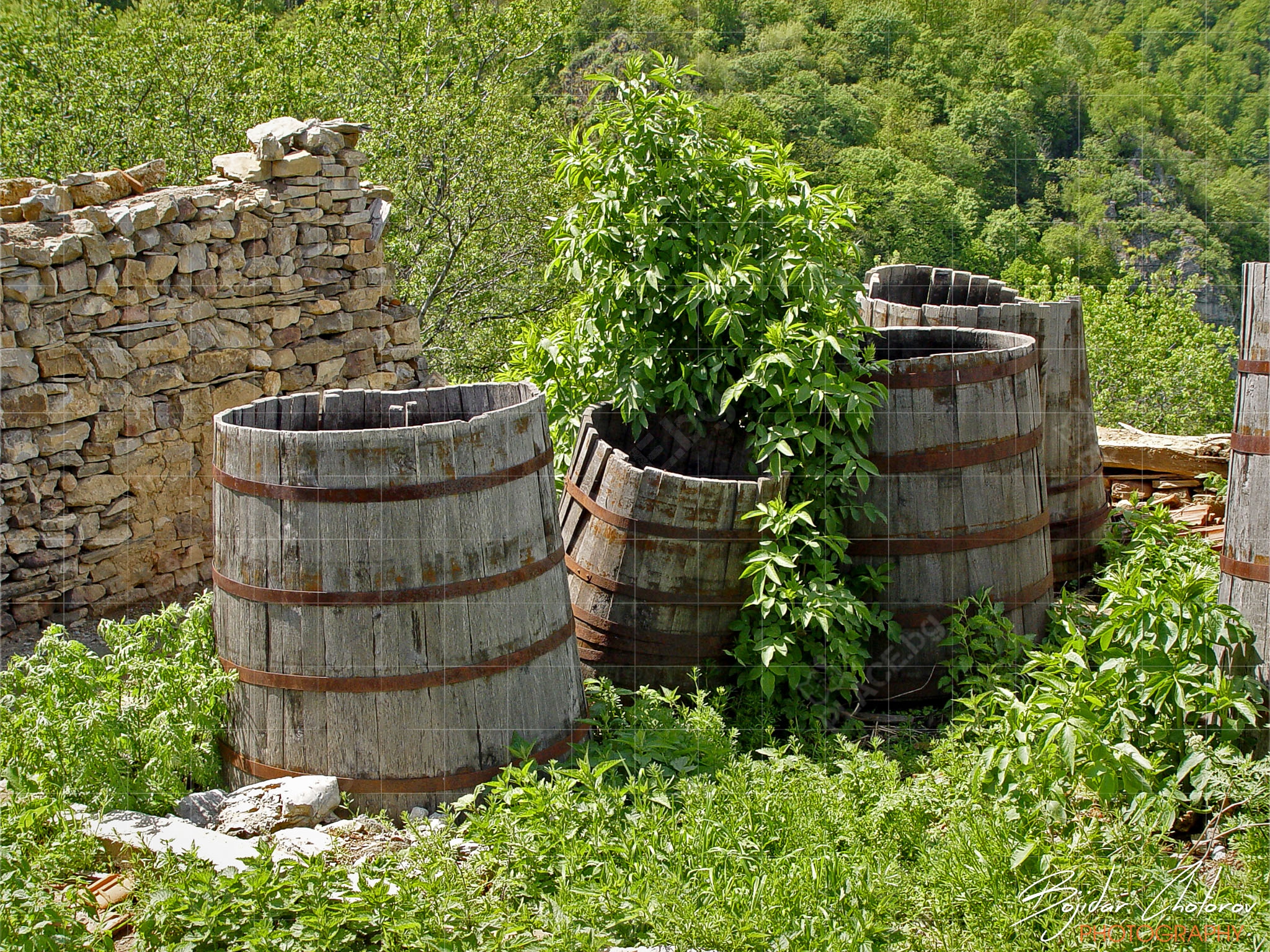 Glojenski_manastir_DSC03729