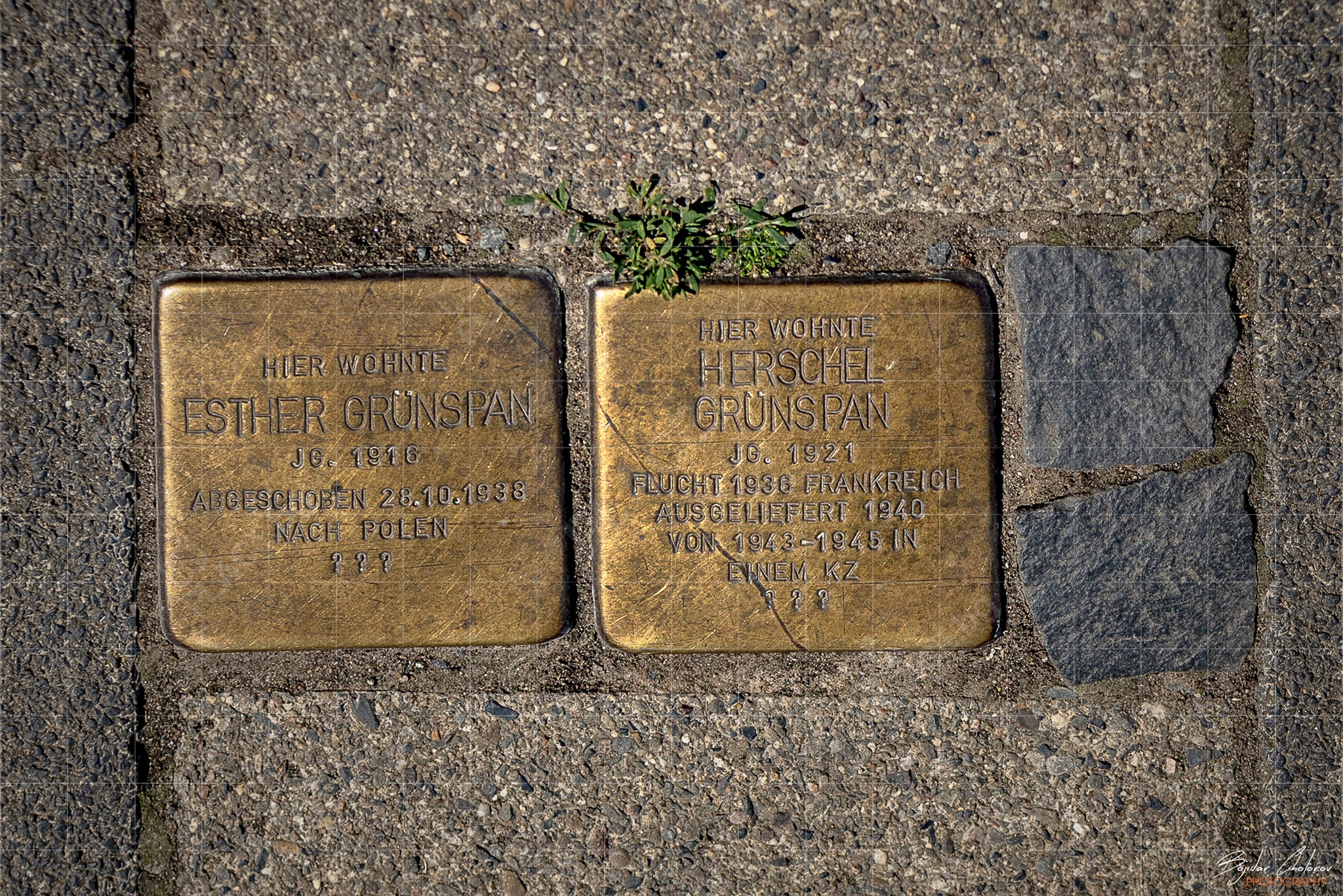 Stolpersteine (Препъни камъни) по улиците на Хановер (BCH_6635)