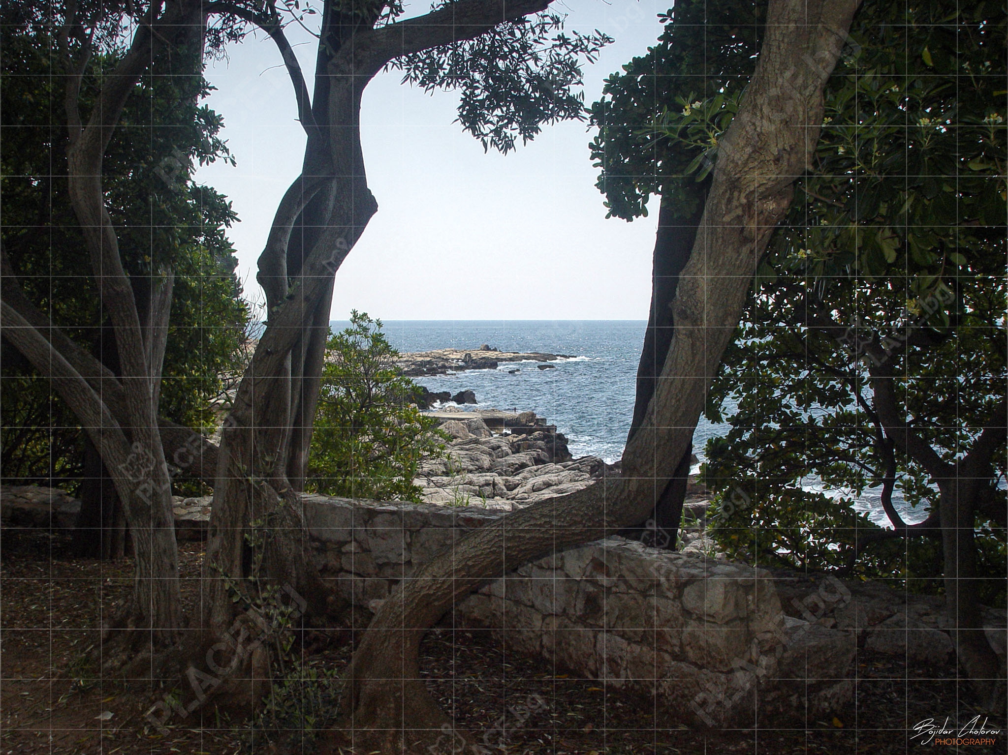 Harvatska_Dubrovnik_ostrov_Lokrum_DSC00220