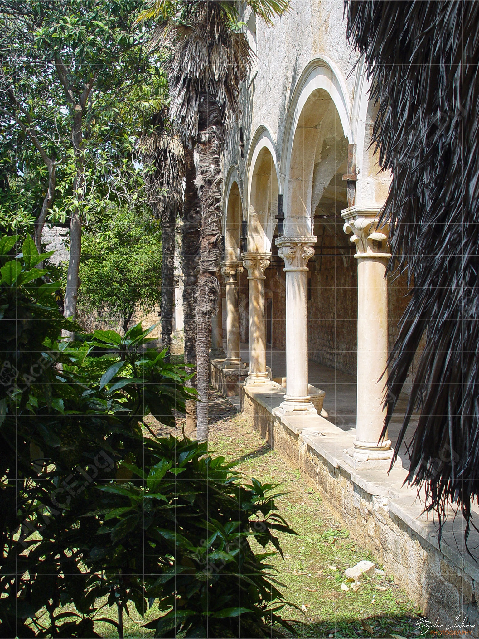 Harvatska_Dubrovnik_ostrov_Lokrum_DSC00311