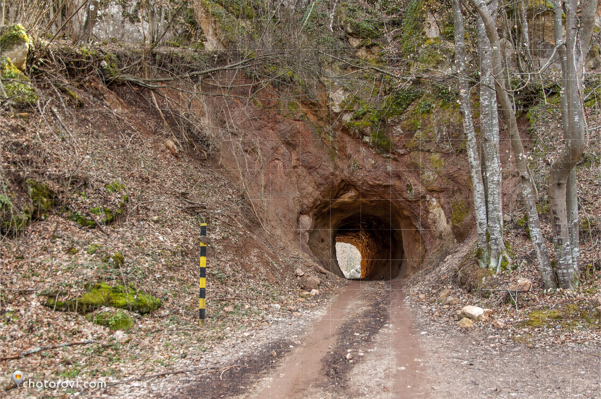 Един от тунелите по пътя към село Богойна (DSC0421)