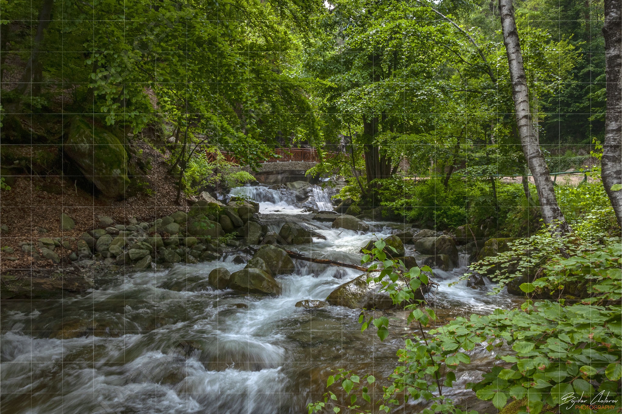 Поречието на Стара река след Костенския водопад (DSC0155)