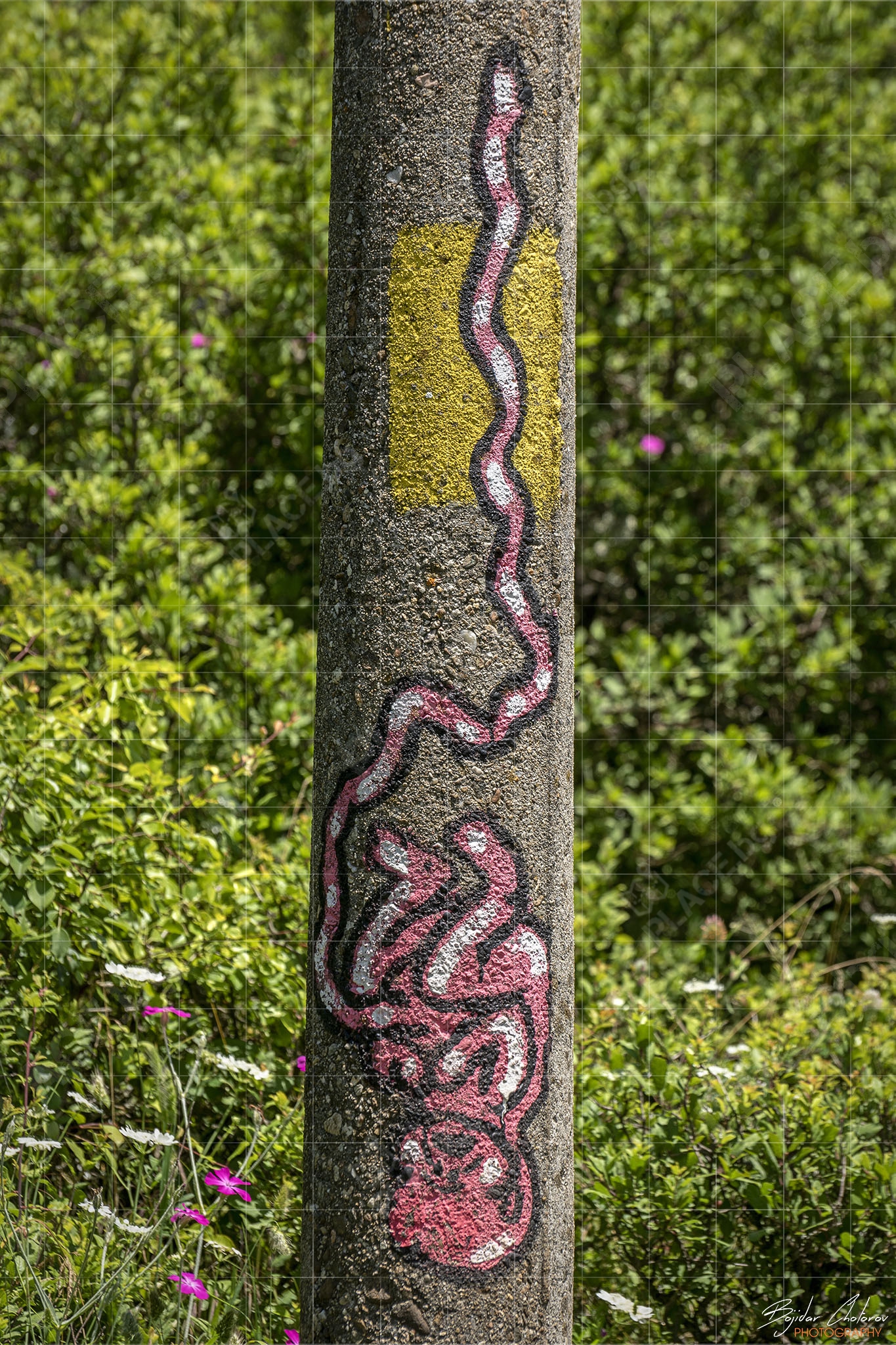 The Rural Murals Project, село Любница (BCH_1620)