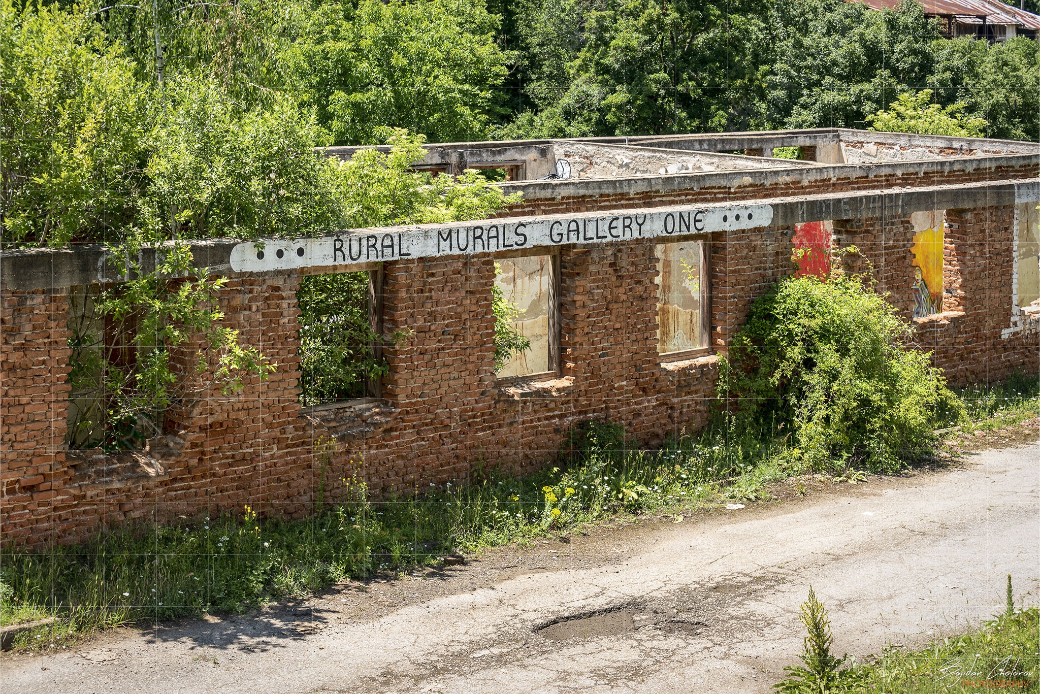 Училище “Черешово топче” – The Rural Murals Gallery One (BCH_1621)