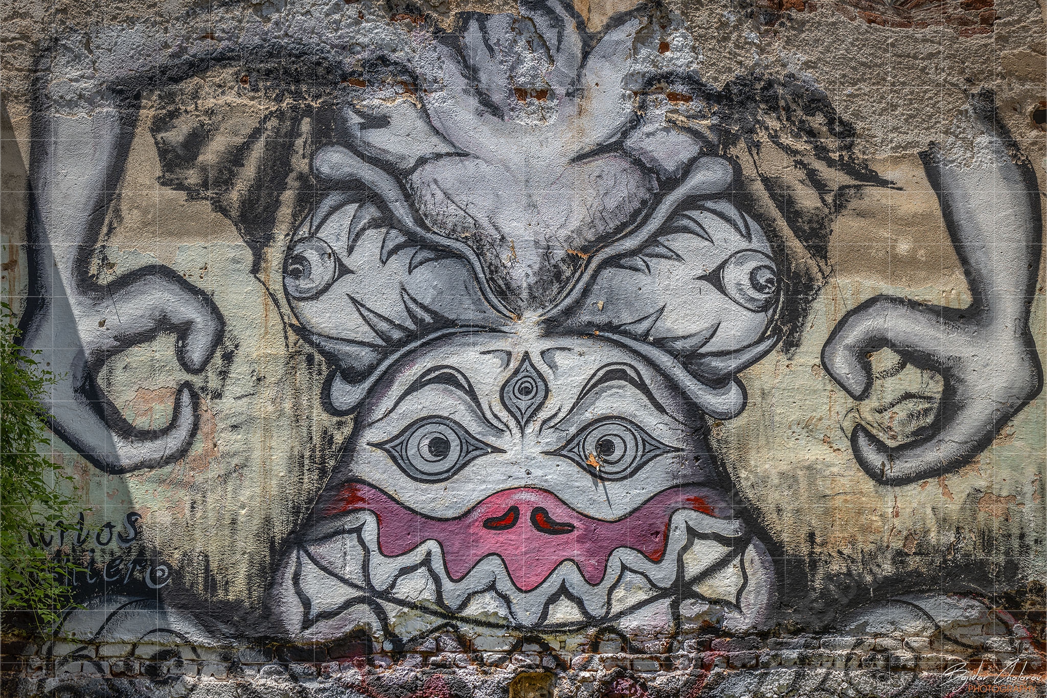 The Rural Murals Gallery One, село Любница (BCH_1671-Pano)